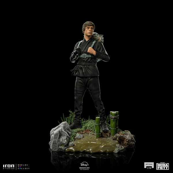Luke Skywalker and Grogu Training  13