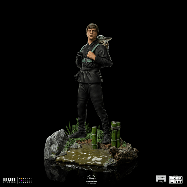Luke Skywalker and Grogu Training  8