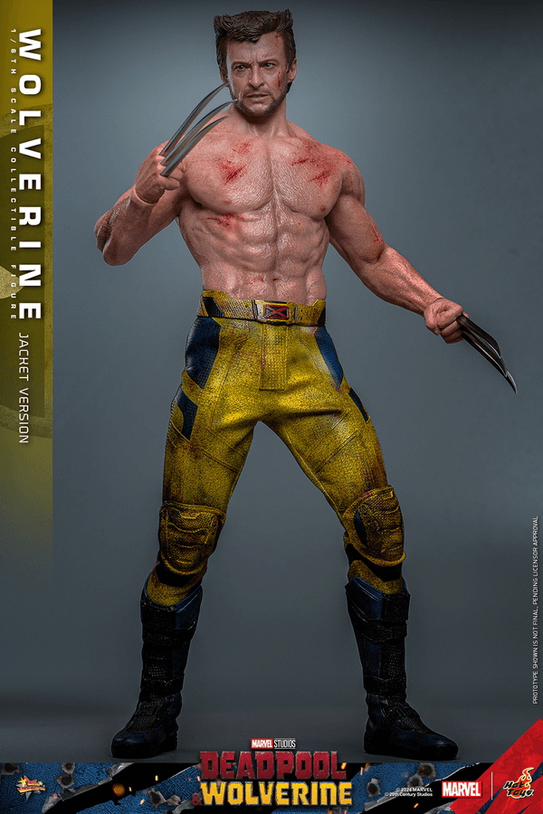 Wolverine-34dc2150-6f48-4897-9a2f-13d52a7fc477 16