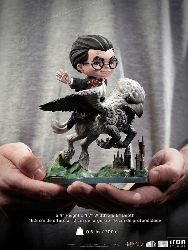 Harry Potter & Buckbeak MiniCo 10