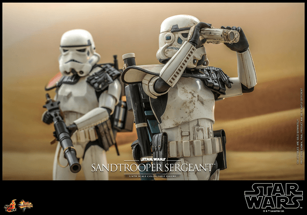 Sandtrooper Sergeant™ 8