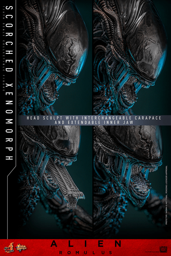 Scorched Xenomorph - Alien 12