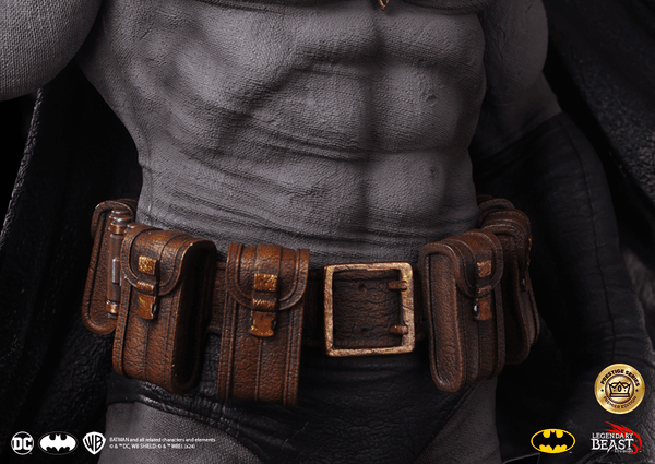 Batman -f8f771c9-0c9d-4566-ab5f-983168b15a7b 8
