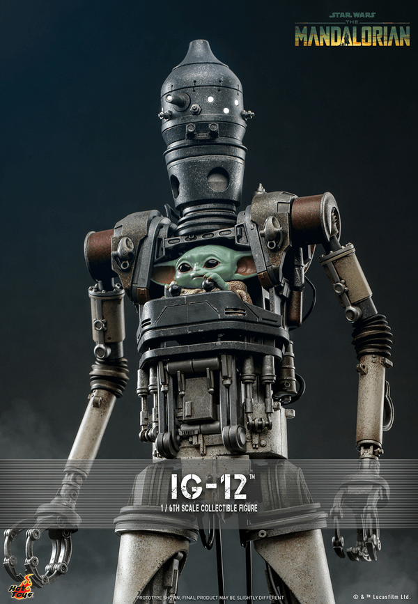 IG-12 10