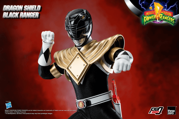Dragon Shield Black Ranger 6