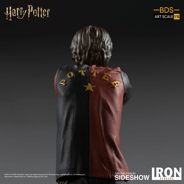  Harry Potter 5