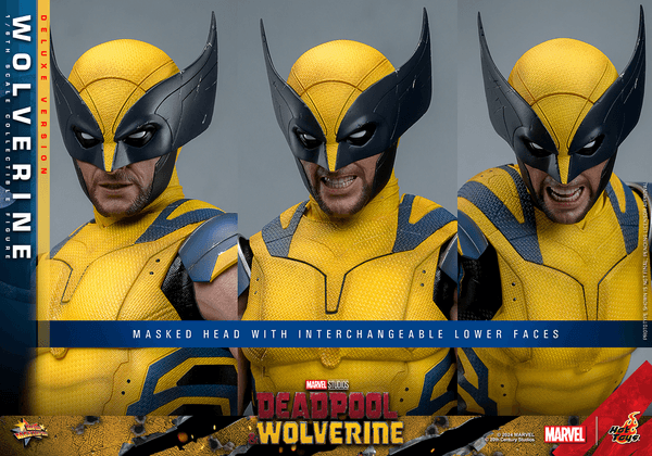 Wolverine - Deluxe 19