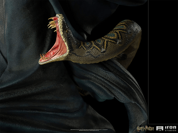 Voldemort y Nagini 8