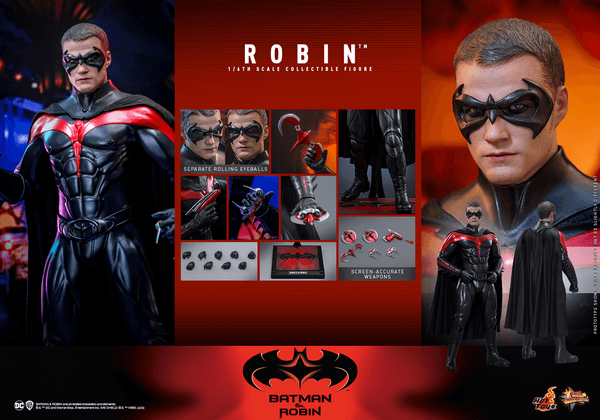 Robin 11