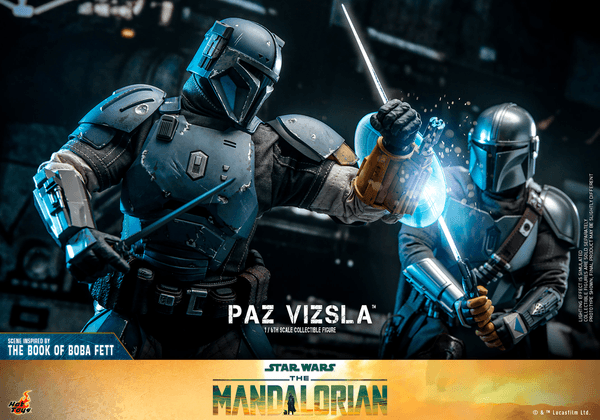 Paz Vizsla 13