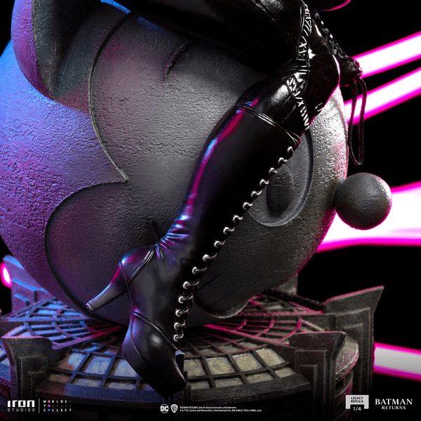 Catwoman-0edd5777-f55a-419c-886d-0f6d5bb885bc 10