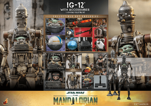 IG-12 With Accessories 21