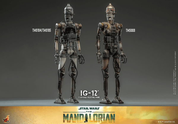 IG-12 8