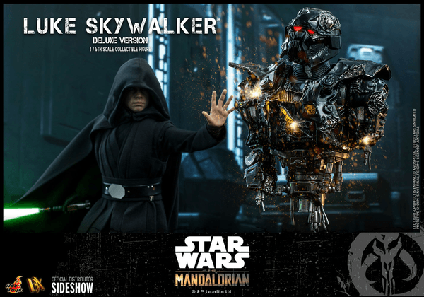 Luke Skywalker (Deluxe Version) 8