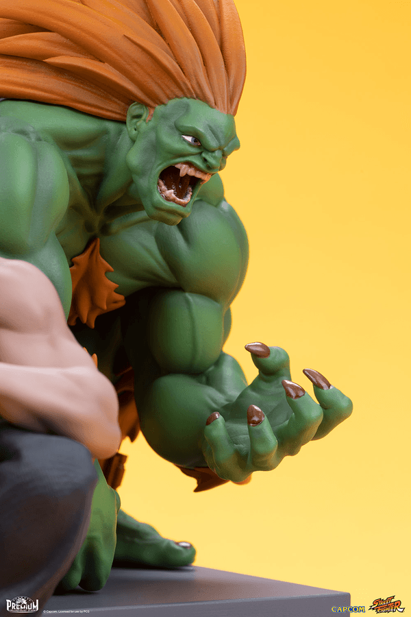 Blanka & Fei Long 5
