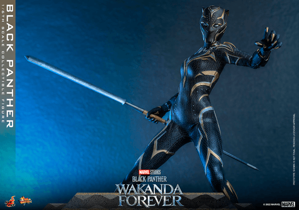 Black Panther -44689760-86da-4034-9b99-43436683472b 21