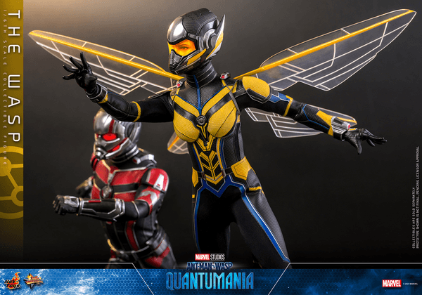 The Wasp 8