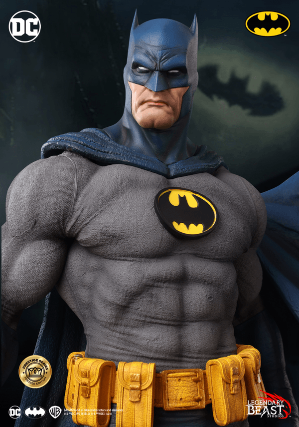 Batman: EDICIÓN PREMIER VARIANTE AZUL/GRIS 8