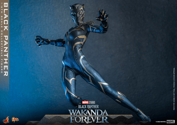 Black Panther -44689760-86da-4034-9b99-43436683472b 15
