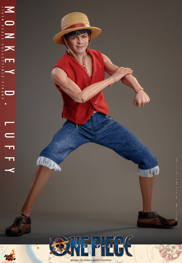 Monkey D. Luffy 6