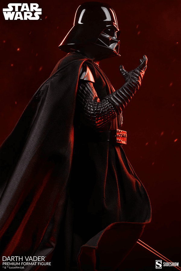 Darth Vader-a528a347-387f-489f-a94c-956bd87da3cd 20