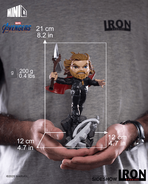 Thor: Avengers Endgame MiniCo 1