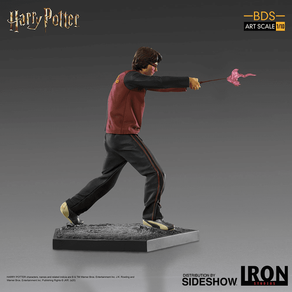  Harry Potter 8