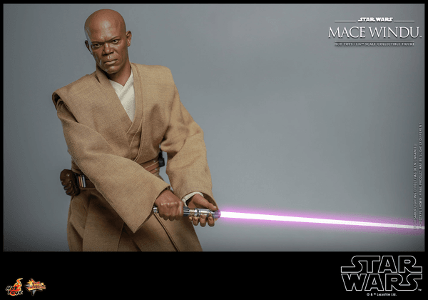 Mace Windu-82fe4cd8-e87b-4464-be73-269b29fa58ef 19