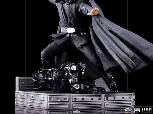 Luke Skywalker (Combat Version) 8
