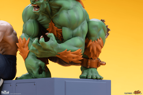 Blanka & Fei Long 7