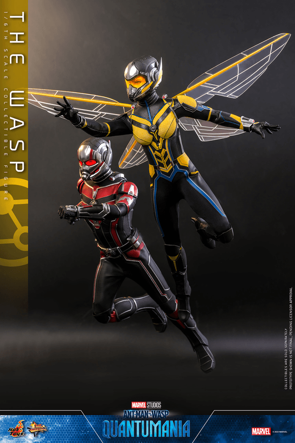 The Wasp 3