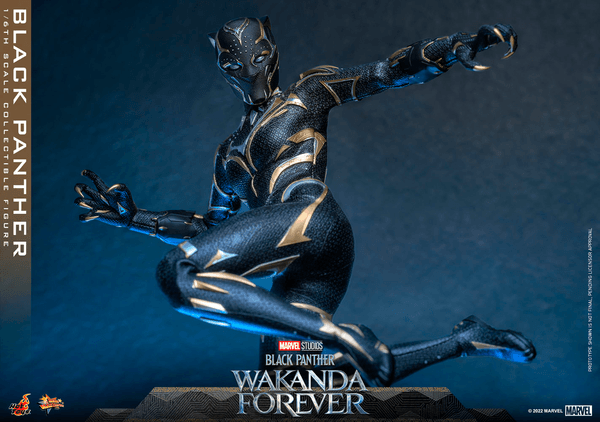 Black Panther -44689760-86da-4034-9b99-43436683472b 17