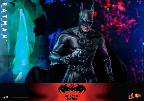 Batman-117ec00b-7a29-48bc-aab0-3b1a8bd0dece 12