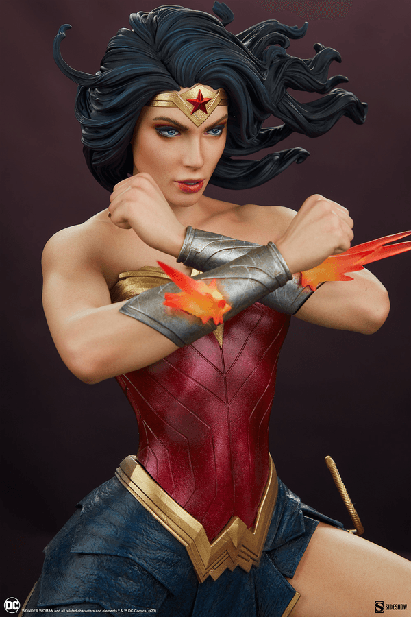 Wonder Woman Saving the Day 14