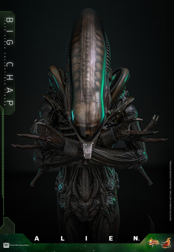 Big Chap-5d6ca20c-0813-4976-8e89-ac94ad156b13 4