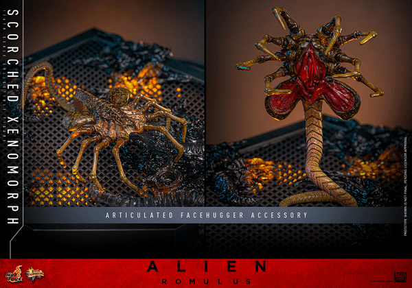 Scorched Xenomorph - Alien 10