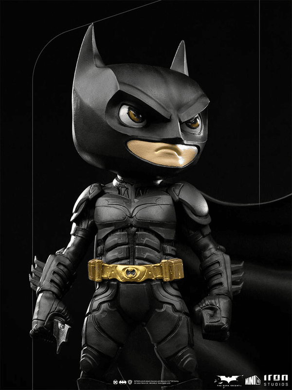 Batman (El Caballero Oscuro) MiniCo 5