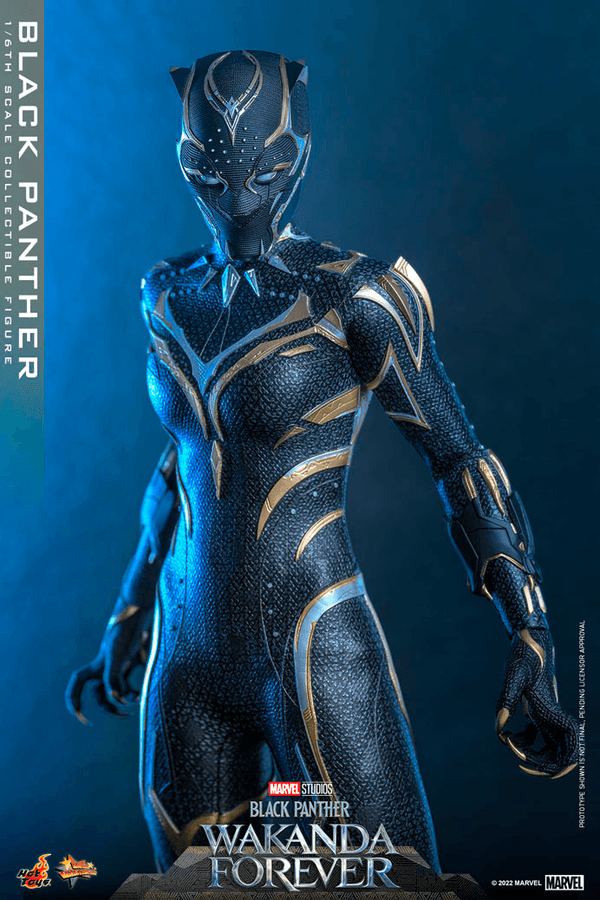 Black Panther -44689760-86da-4034-9b99-43436683472b 20