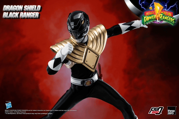 Dragon Shield Black Ranger 13