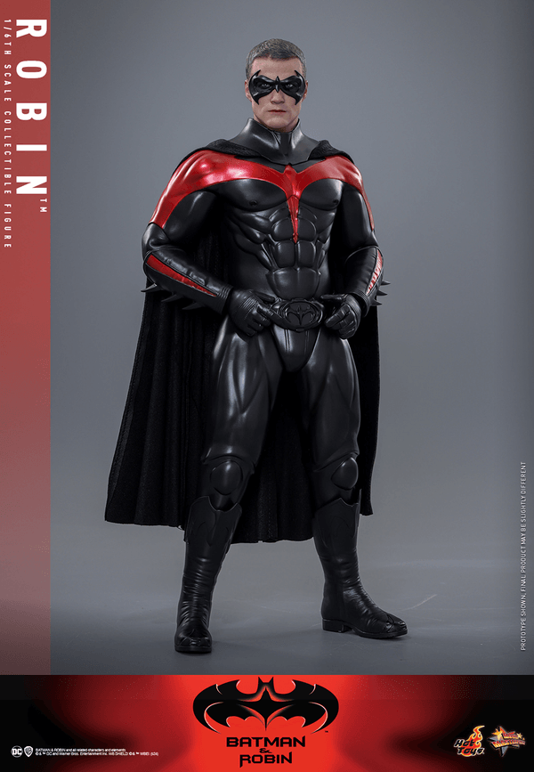 Robin 7