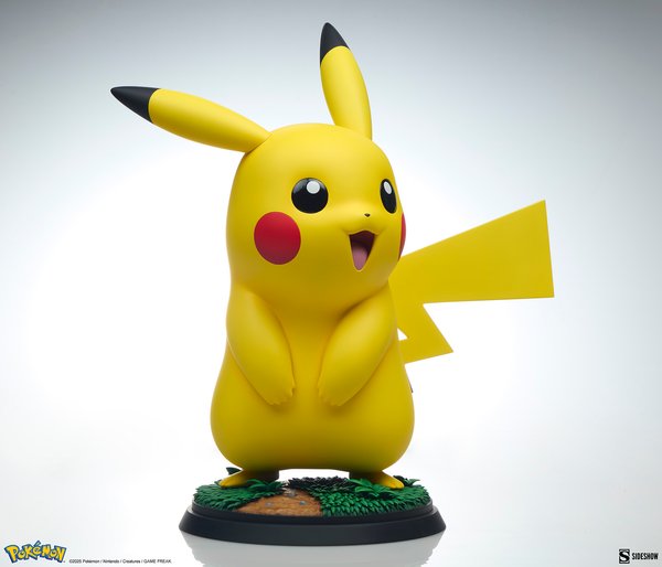 Pikachu-52607915-26a8-4b41-bc15-a764644dd93e 12