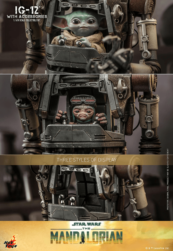 IG-12 With Accessories 4