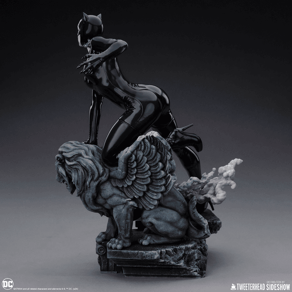 Catwoman-ca68a4ef-87b7-4de8-b6a7-d5d26cbc3ffb 9
