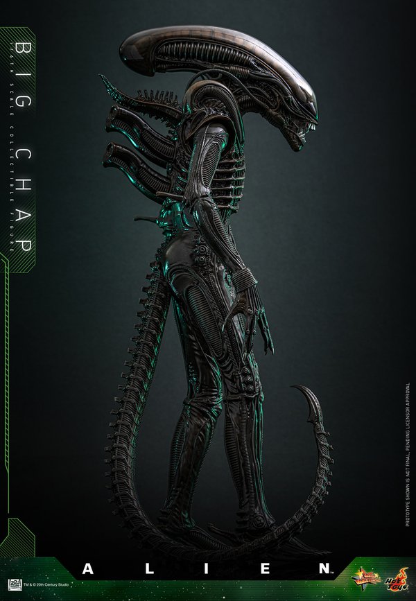 Big Chap-5d6ca20c-0813-4976-8e89-ac94ad156b13 7