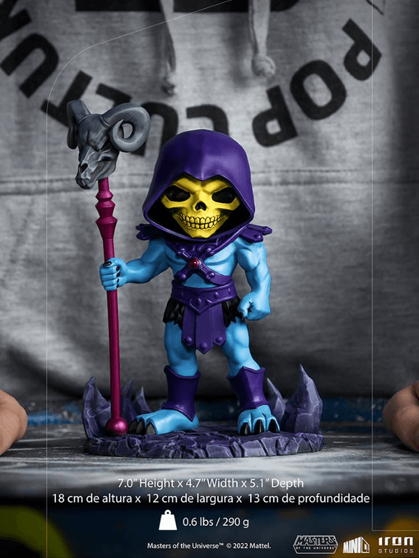 Skeletor Minico 6