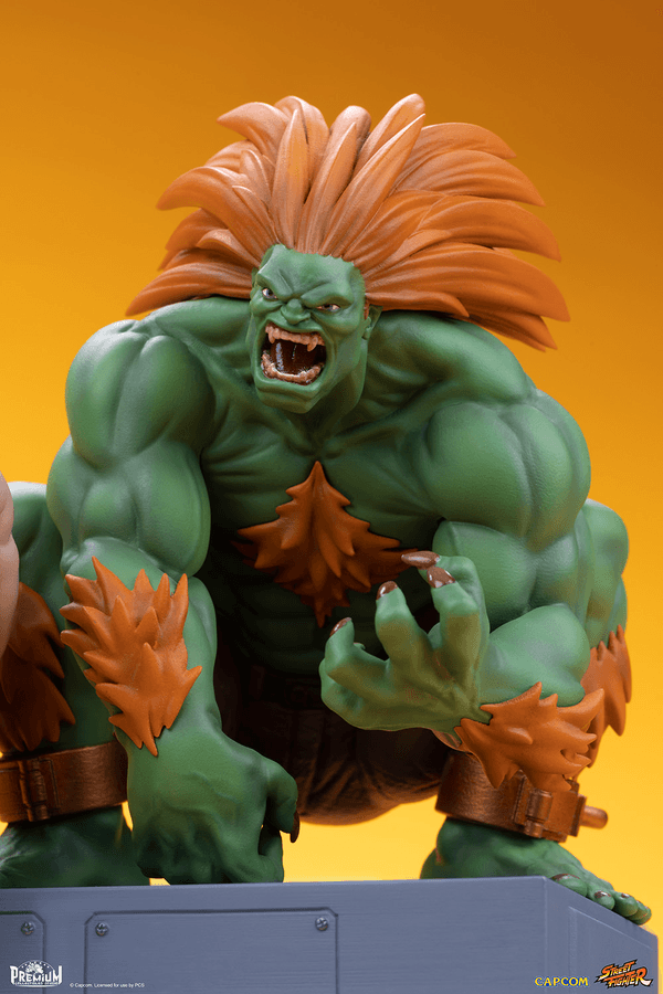 Blanka & Fei Long 6