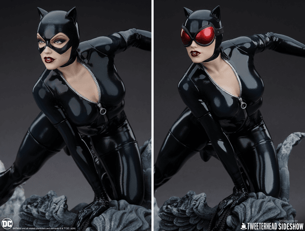 Catwoman-ca68a4ef-87b7-4de8-b6a7-d5d26cbc3ffb 8