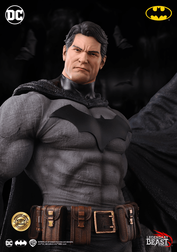 Batman -f8f771c9-0c9d-4566-ab5f-983168b15a7b 15