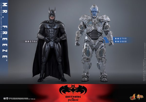 Mr. Freeze-195f065e-3f9e-4462-9c98-219b0a9ca6ce 17