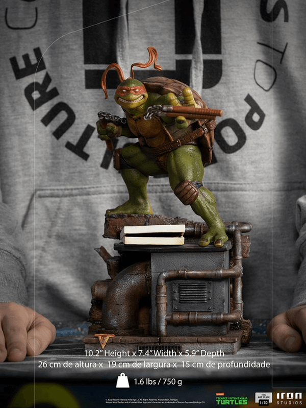 Michelangelo 6